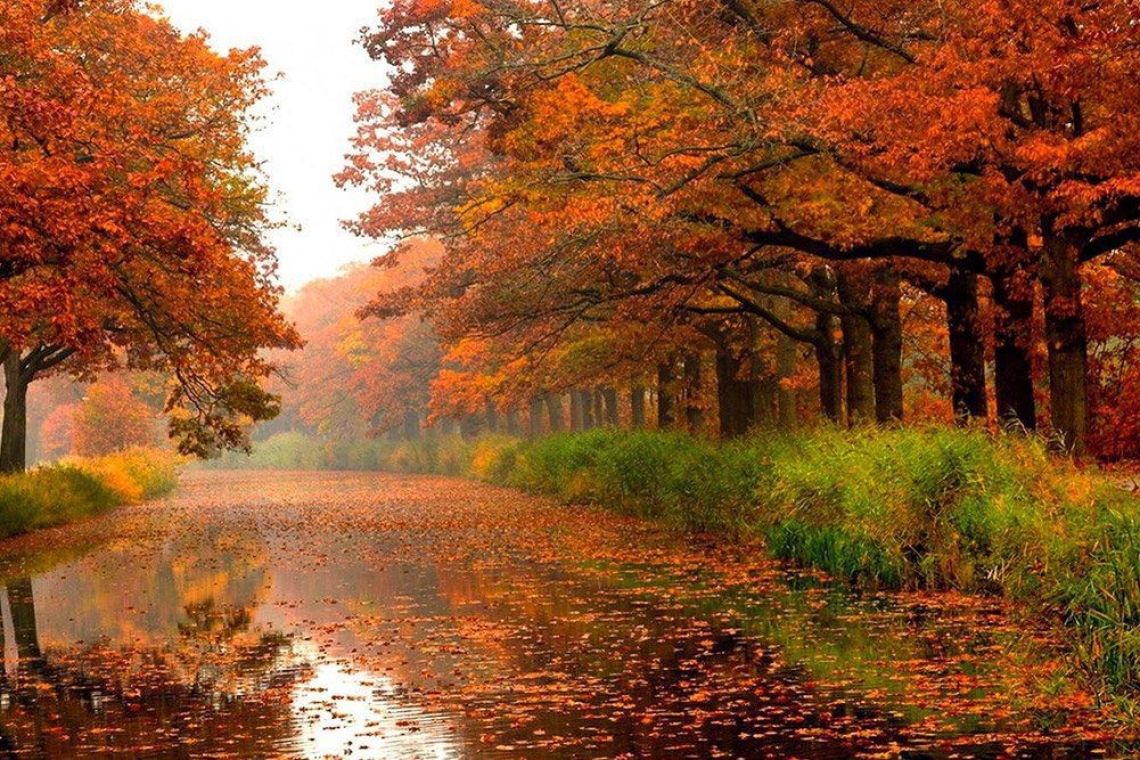 Τρία βιβλία που παρουσιάζουν την ατμόσφαιρα του φθινοπώρου