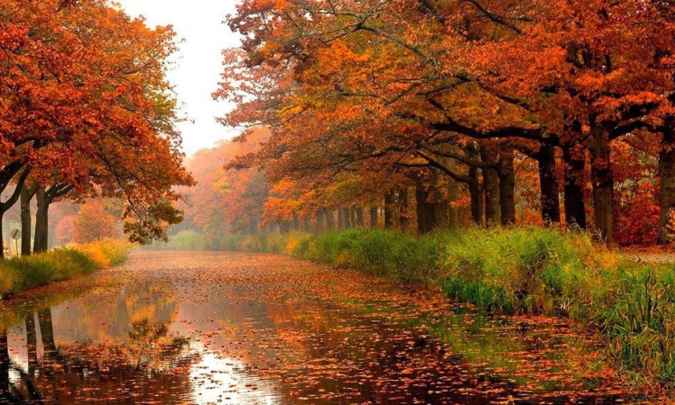 Τρία βιβλία που παρουσιάζουν την ατμόσφαιρα του φθινοπώρου